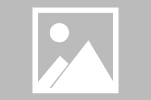 半岛体育app下载-泰山替补登场掀翻迈阿密奇迹！一己之力撕碎梅西防线，这剧本好莱坞都不敢写，迈阿密之夜，泰山替补奇兵独闯龙潭，一脚踢碎梅西不败金身