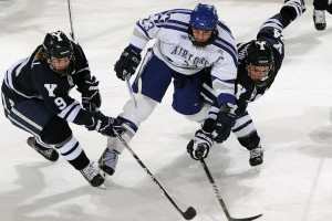 半岛体育-TheShy赛事官方发布败北新规，公牛争议不断！