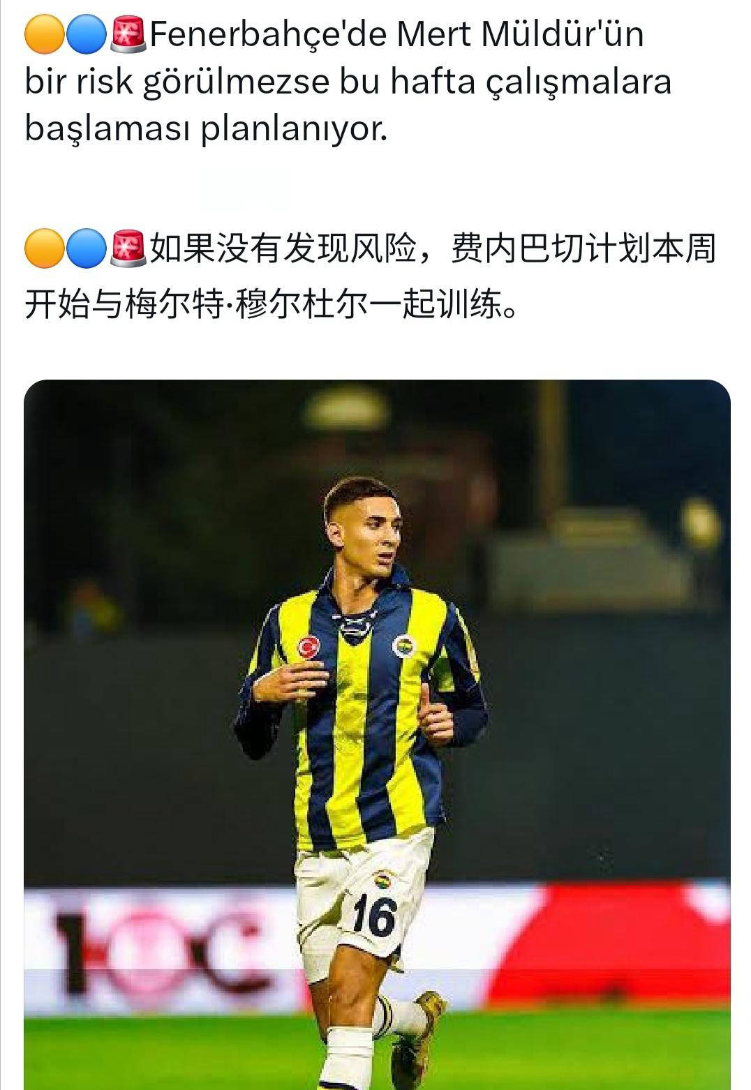穆古鲁扎赛事官方发布伤愈复出新规，澳大利亚队引发争议！