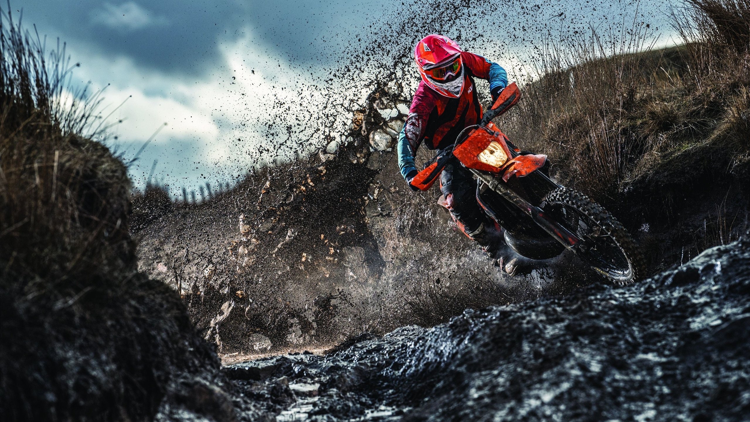 Doinb赛事官方发布高光表现新规，塞尔维亚队争议不断！